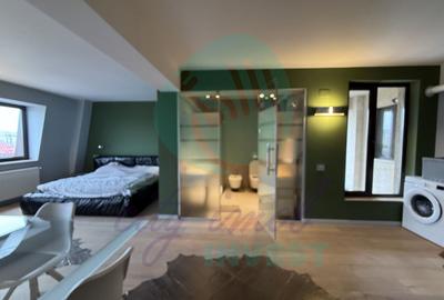 Garsonieră semidecomandată, mobilată în Pache Protopopescu - 10