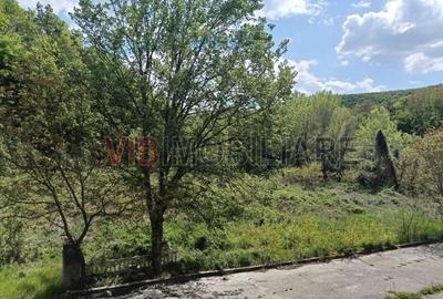 Teren de 8900 mp, în Sud-Vest - 8