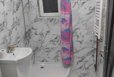 Apartament cu doua camere - 5