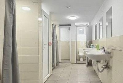 Spatiu Productie Logistica si Depozitare - 5