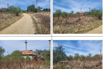 Casa si teren Sat Guruieni, cota parte de 1/2 , ID: R2319667 - 5