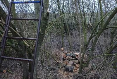 Casa piatra de vacanta locuibila la 42km de Mangalia - 1