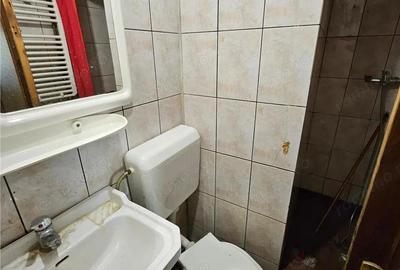 Doua case vecine, cu vad, in Bucure #537;ti, Tineretului, Parcul Carol - 8