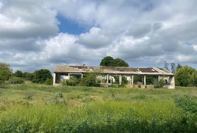 Teren intravilan Hirsova 16.862 mp - 5