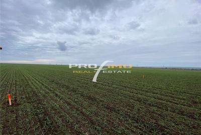 Teren de 4200 mp, în Corbu - 5