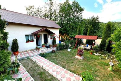 Casă cu 4 camere în Șerbăneasa - 14