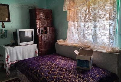 De vanzare casa la Romanesti comuna Rosiile - 5