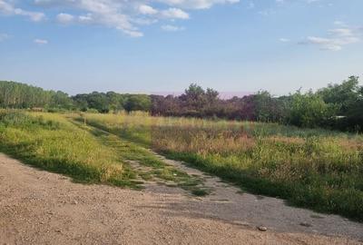 Teren Construcții intravilan de 2150 mp, în Teișori - 12