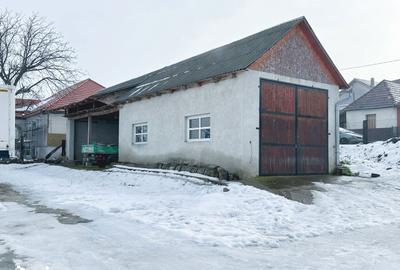 Spațiu comercial, de 500 mp, în Adămuș - 18