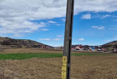 Teren intravilan in Sanduleni/Bacau de vanzare - 7