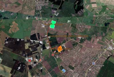 Teren Construcții intravilan de 200000 mp, în Dumbrăvița - 3