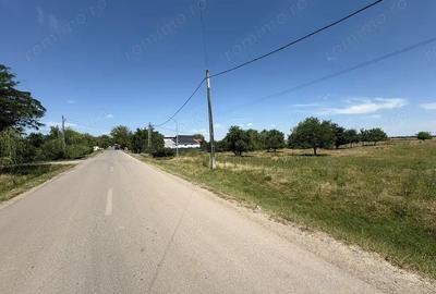 Teren de 10000 mp, în Brănești - 2