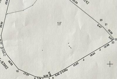 Teren de 6996 mp, în Valea Mare