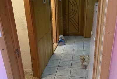 Apartament de vanzare 53 mp Nehoiu, - 6