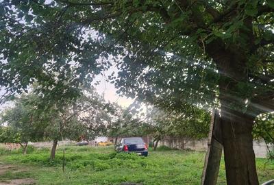 Casă cu 4 camere cu Teren 3000 Mp în Cârnești - 2