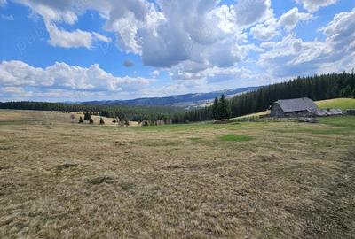 Teren de vanzare 15 hectare in Bucovina Moldova Sulita zona Lucina - 9