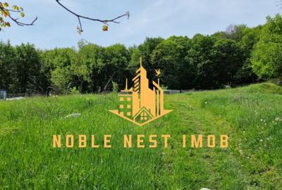 Teren extravilan 2200 mp - Budeasa Mica, Arge?, COMISION 0. - 1