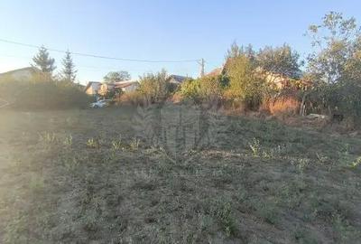 Teren în Plopu - 6