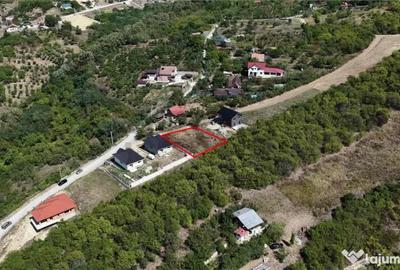 Teren de 594 mp, în Podgoria - 1