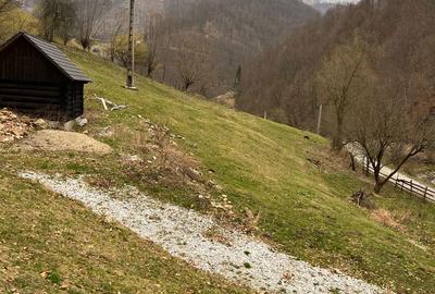 Teren de 12800 mp, în Remeți - 5