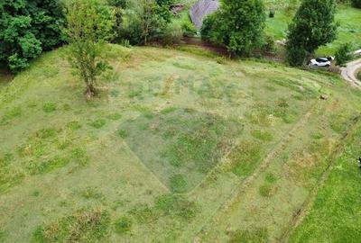 Teren Construcții intravilan de 6865 mp, în Voroneț - 3