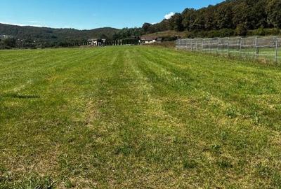 Teren Construcții intravilan de 4451 mp, în Gilău - 1