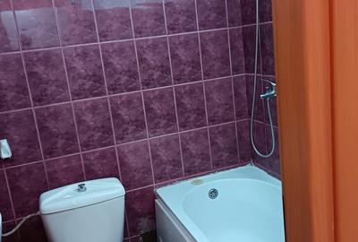 Garsonieră decomandată în Prundu - 1