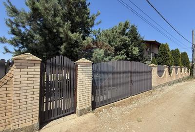 Casa de vacanta la 200m de Dunare - 57