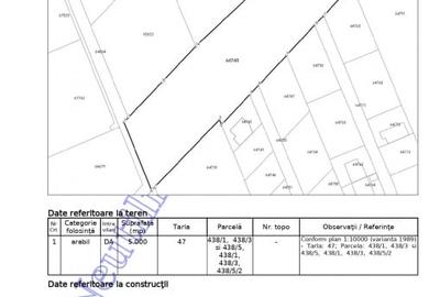 Teren Construcții intravilan de 5000 mp, în Mogoșoaia - 3
