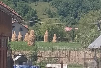 Casa de vanzare in Poiana Blenchii - 4