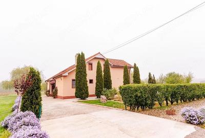 Casă cu 4 camere cu Teren 3200 Mp în Archiș - 16