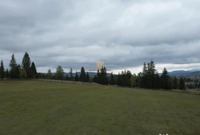 Teren de 16813 mp, în Fundu Moldovei - 10
