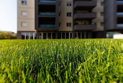 Apartament 3 Camere - Calea Aradului - Comision 0% Apartament 3 Camere - Calea Aradului - Comision 0% - 15