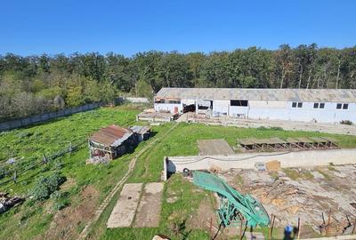 Spațiu comercial, în Brănești - 1