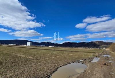 Spațiu comercial, în Albești - 1