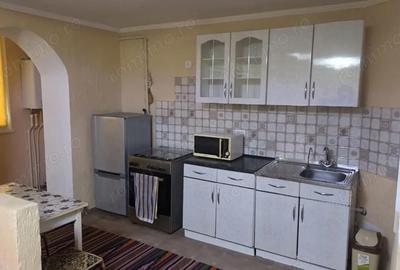 Apartament cu 2 camere decomandat în Șagului