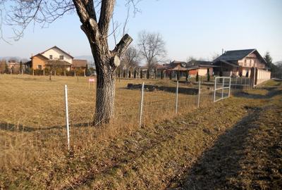 TEREN INTRAVILAN ULTRACENTRAL LA 6 KM DE SIGHET LA SOSEA PRINCIPALA ASFALTATA - 3