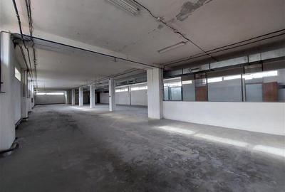 Spatiu multifunctional, P+E, Micalaca - 4