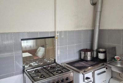 Casă cu 2 camere cu Teren 330 Mp în Lunei - 2