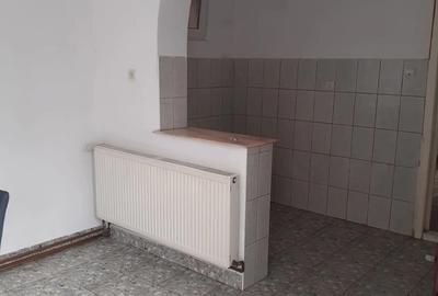 Casa P+E de vanzare in Ineu, jude?ul Arad - 5