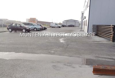 Spațiu comercial, de 480 mp, în Ștefănești - 1