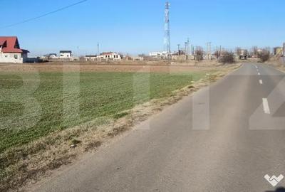Teren de 10000 mp, în Ghercești - 2