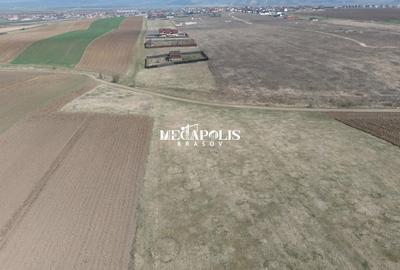 Teren Construcții intravilan de 1200 mp, în Bod - 5