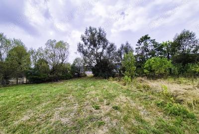 Teren de 7300 mp, în Drăganu - 4