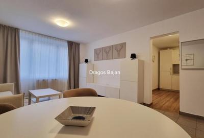 Apartament cu 2 camere, mobilat în Sala Palatului - 2