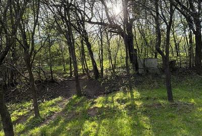 Teren de 1013 mp, în Cisnădioara - 2