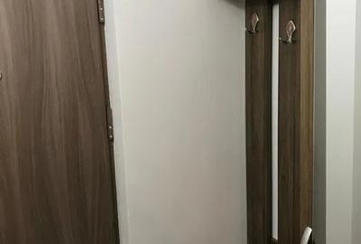 Garsoniera, 40 mp, decomandata, metrou, Nicolae Grigorescu - 7