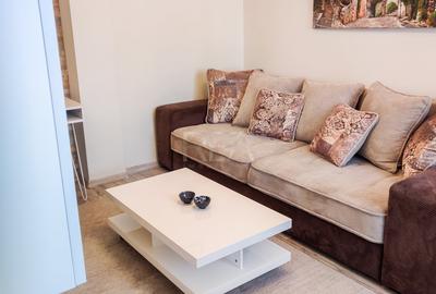 Apartament cu 2 camere decomandat, mobilat în Moșilor - 8