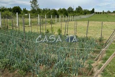 Teren Construcții intravilan de 5000 mp, în Lelești - 7