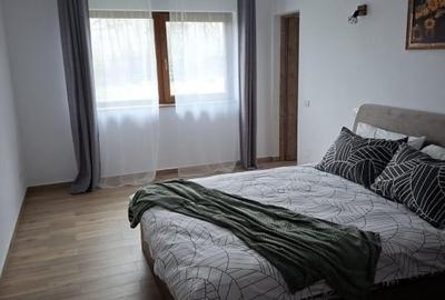 Casă individuală cu 5 camere cu Canalizare în Sitești - 12